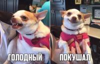 post-5485-0-29323900-1449221639_thumb.jpg